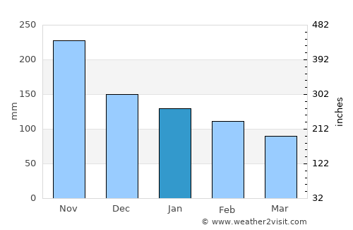 Yona Village average rain in January