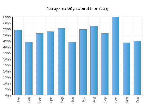 Young monthly rainfall chart (mm)