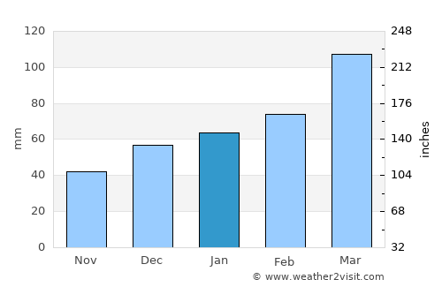 Yovon average rain in January