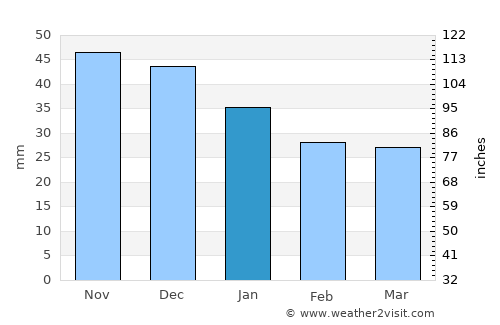 Yur’yev-Pol’skiy average rain in January