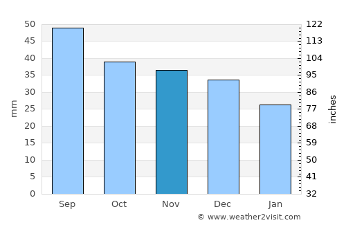 Zamość average rain in November