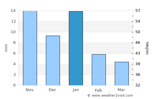 Zapotlanejo average rain in January