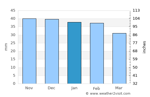 Zatyshshya average rain in January