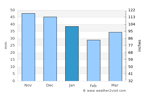 Zempin average rain in January