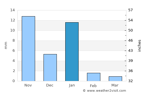 Zirándaro average rain in January