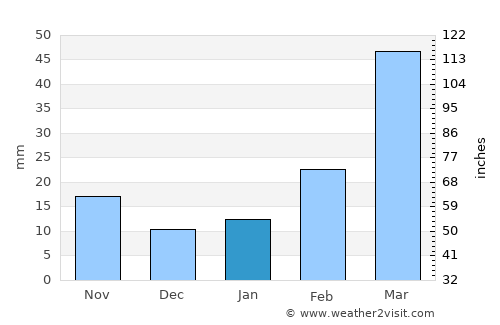 Ziro average rain in January