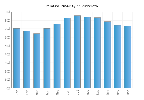Zunheboto relative humidity averages