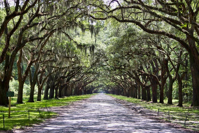 Best Time to Visit Savannah | Holiday weather info | Weather-2-Visit