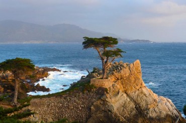 Monterey