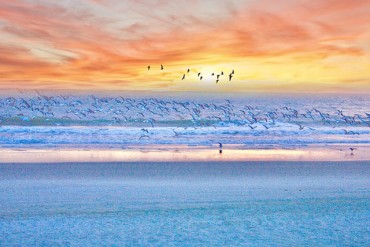 Myrtle Beach