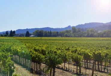 Sonoma