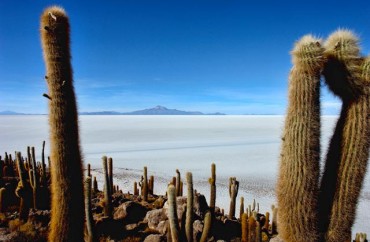 Uyuni