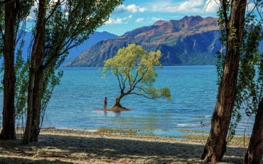 Wanaka