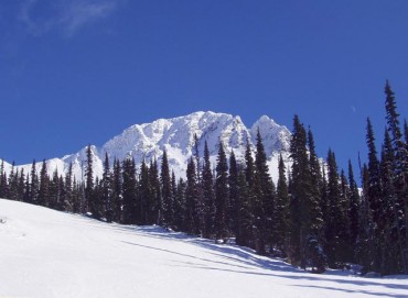 Whistler