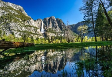 Yosemite National Park