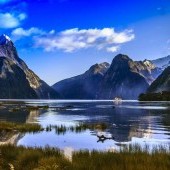 Milford Sound
