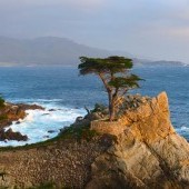 Monterey