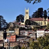 Shimla