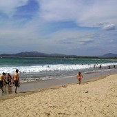 Tamarindo