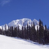 Whistler
