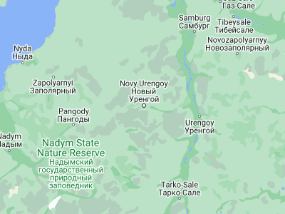 Map showing location of Novyy Urengoy (66.08333, 76.63333)